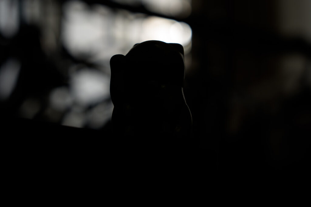 逆光シーンを適正露出で撮影した