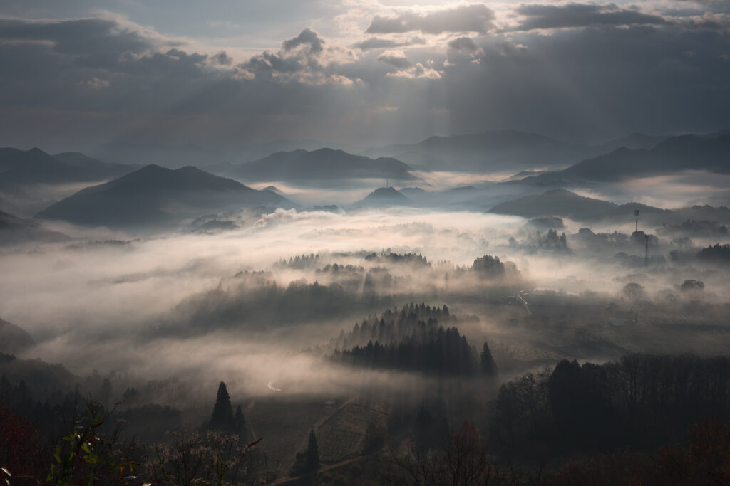 夜久野 宝山シャー