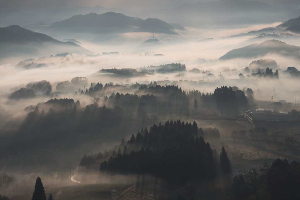 夜久野 宝山シャー