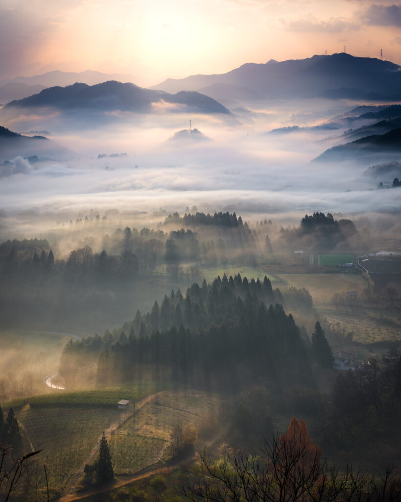 夜久野 宝山シャー