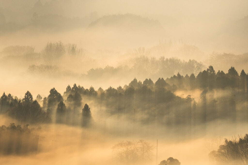 夜久野 宝山シャー