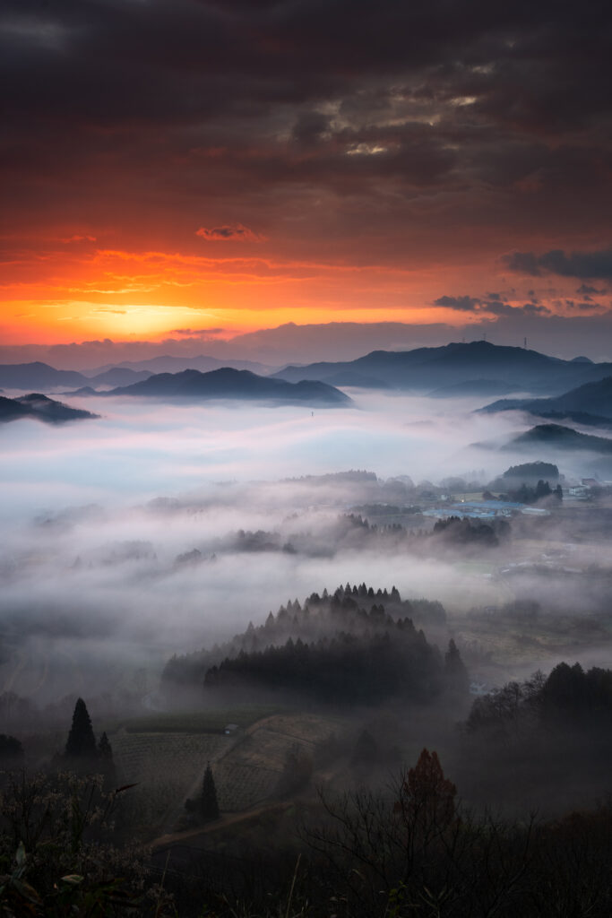 夜久野 宝山シャー