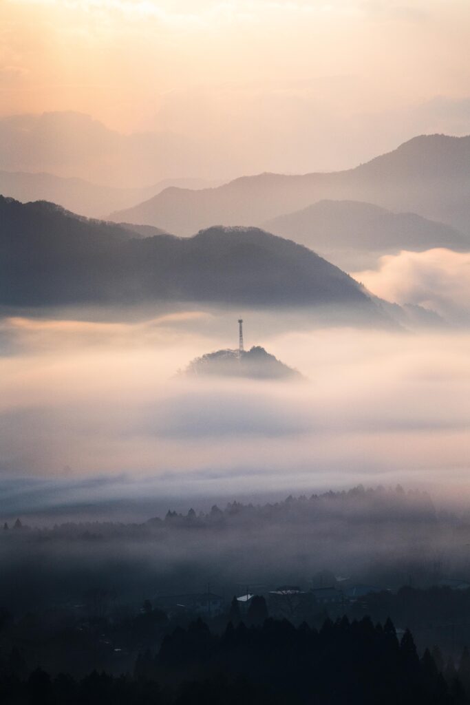 夜久野 宝山シャー