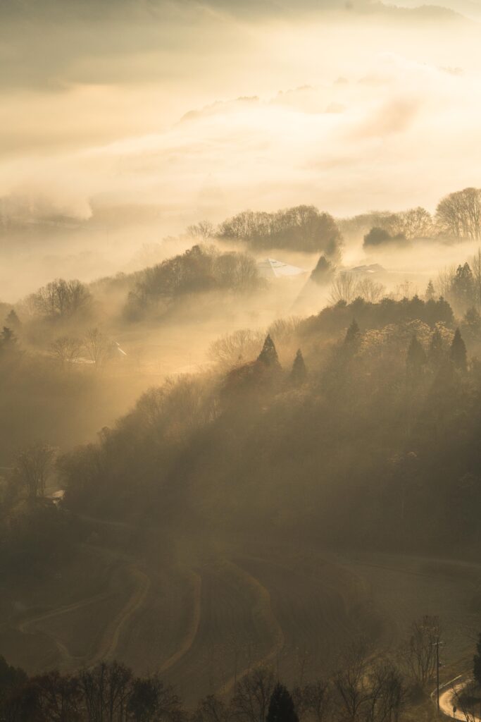夜久野 宝山シャー