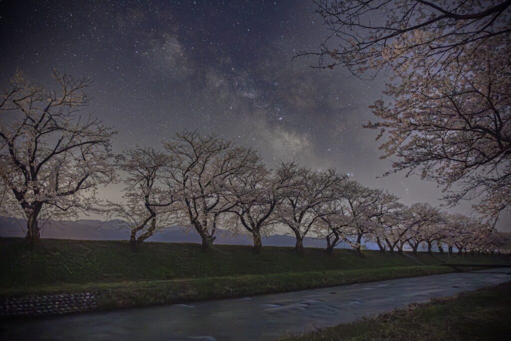 桜と天の川