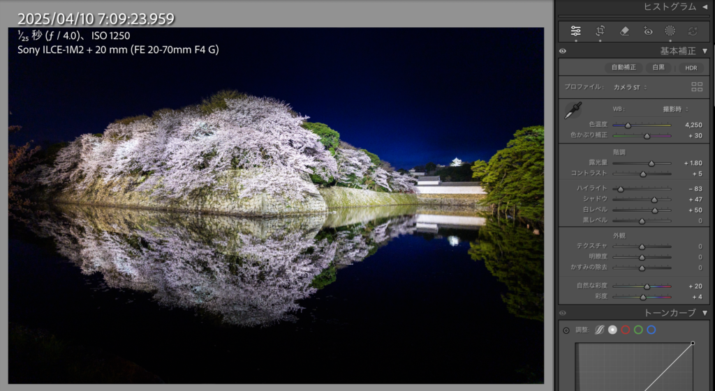 夜桜のレタッチ