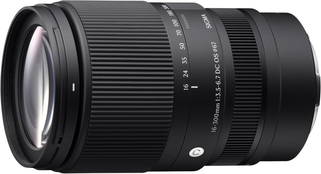 sigma 16-300mm DC DN SONY