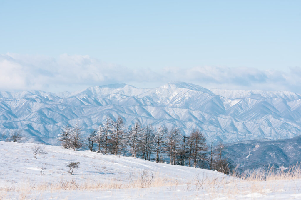 望遠レンズで撮影した風景