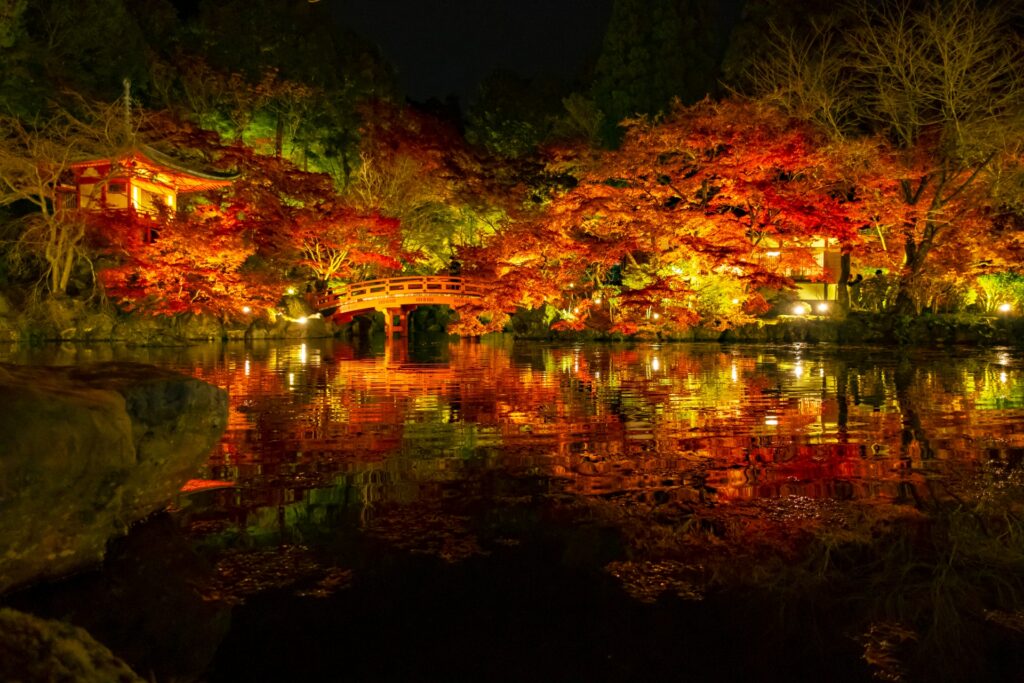 紅葉のライトアップとリフレクション