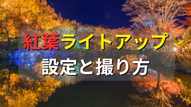 紅葉ライトアップの設定と撮り方