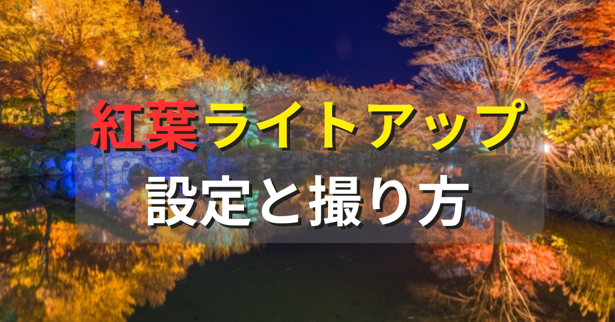 紅葉ライトアップの設定と撮り方
