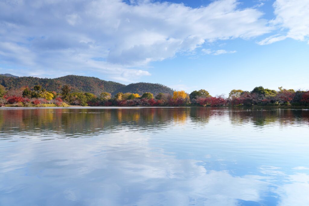 京都大覚寺にある大沢池の紅葉リフレクション
