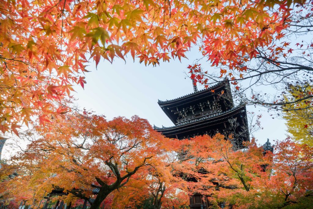 真如堂と紅葉。額縁構図を16mmの広角レンズで。