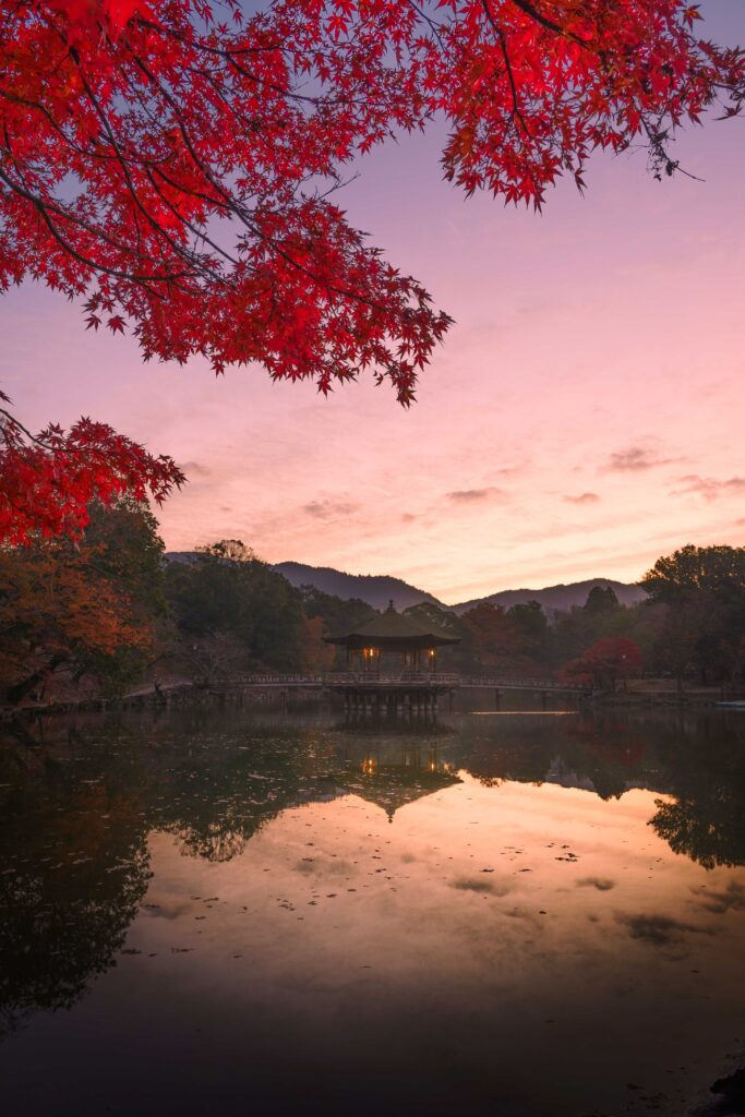 標準ズームレンズで撮影した朝焼けの紅葉。奈良の浮御堂