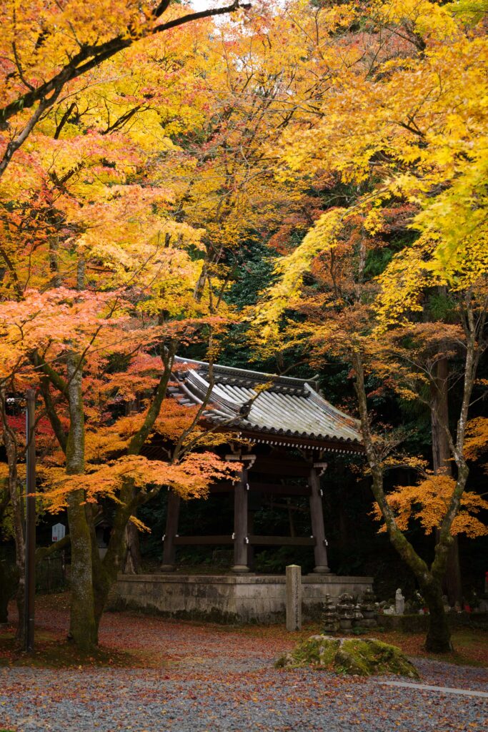 今熊野観音寺の紅葉。