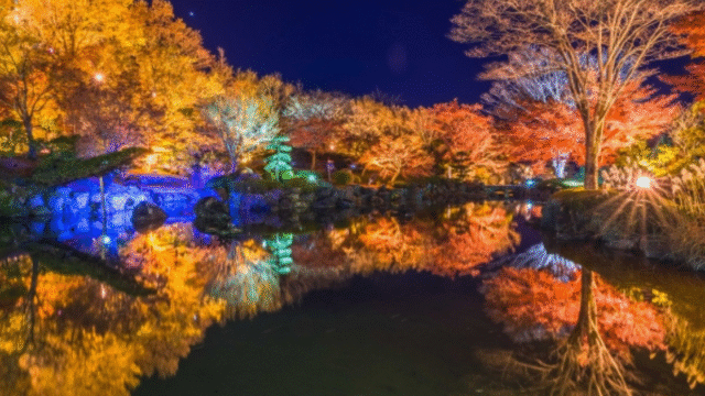 紅葉ライトアップ