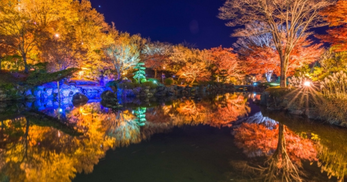 紅葉ライトアップ