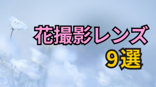 花撮影におすすめのレンズ記事のアイキャッチ画像