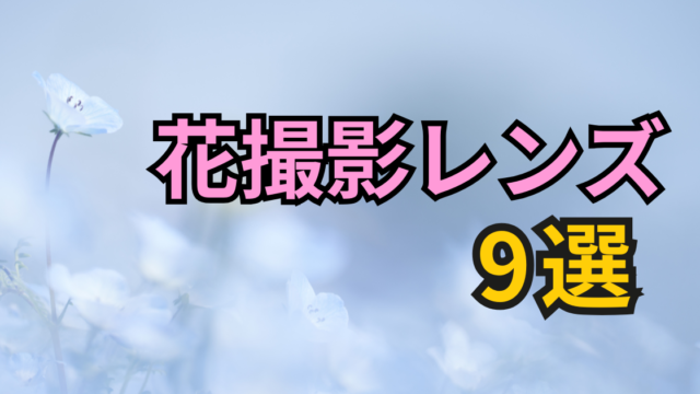 花撮影におすすめのレンズ記事のアイキャッチ画像