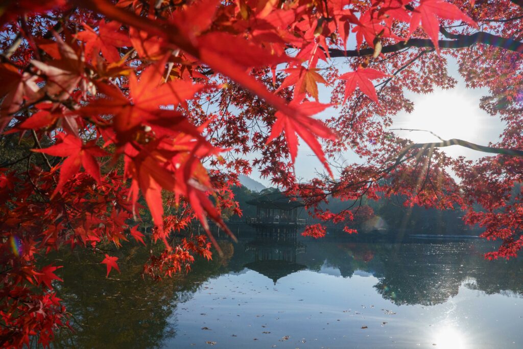 光芒と紅葉。奈良の浮御堂のリフレクション