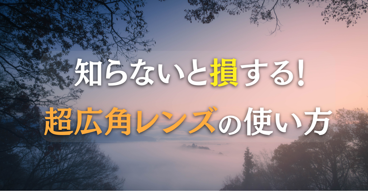 超広角レンズの使い道やテクニック記事のアイキャッチ画像