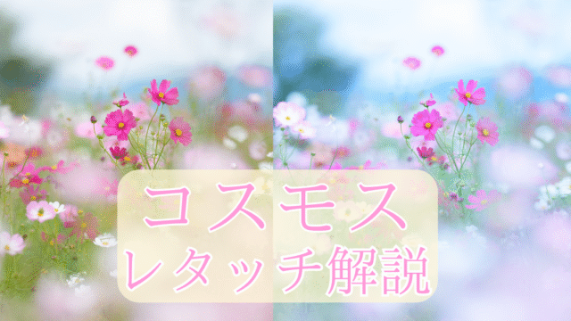 コスモスレタッチ記事のアイキャッチ画像。コスモスの写真が背景