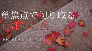 50mm単焦点レンズで撮影した京都の紅葉スナップ記事。