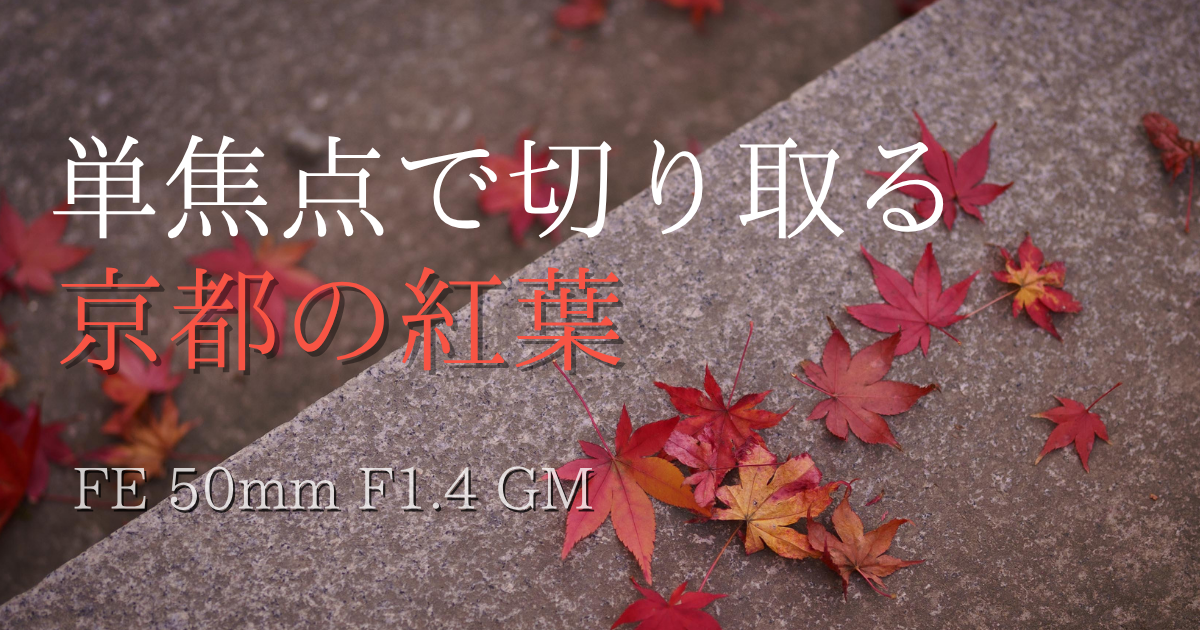 50mm単焦点レンズで撮影した京都の紅葉スナップ記事。