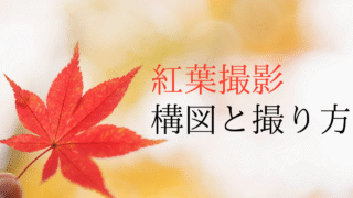 紅葉撮影の構図の記事