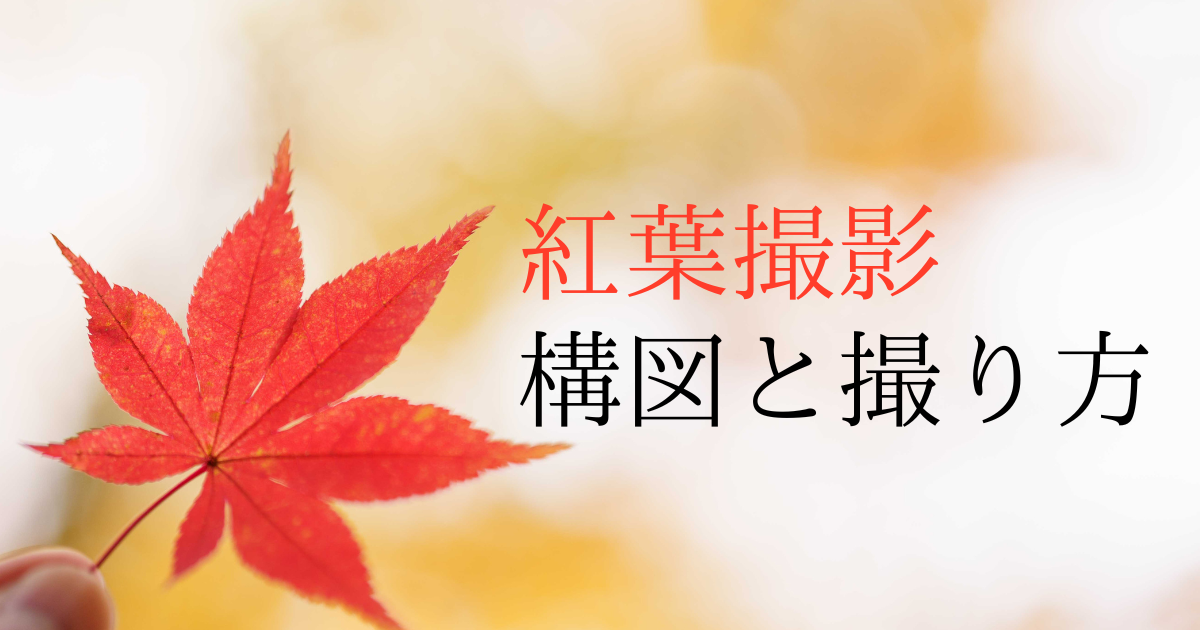 紅葉撮影の構図の記事
