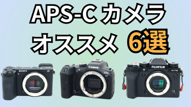 APS-Cカメラ　おすすめ