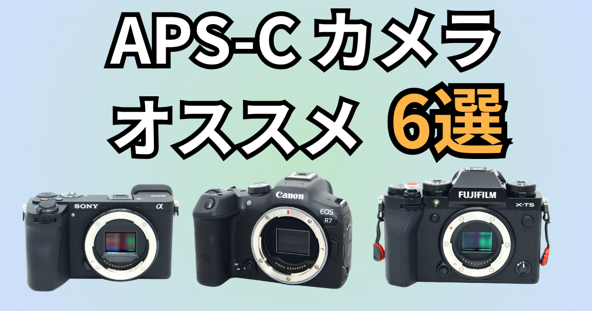 APS-Cカメラ　おすすめ