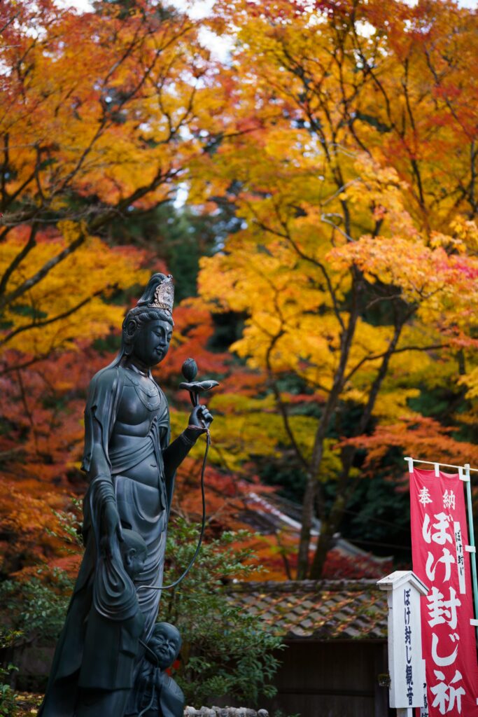 SONY FE 50mm F1.4 GMの単焦点レンズで撮影した紅葉