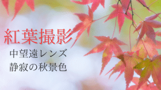 中望遠レンズで撮影した紅葉撮影記事