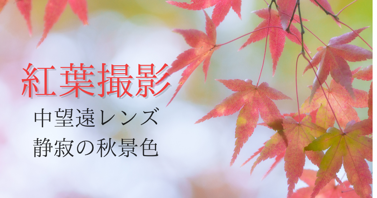 中望遠レンズで撮影した紅葉撮影記事
