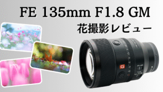 FE 135mm F1.8 GMのレビュー記事。花撮影特化。