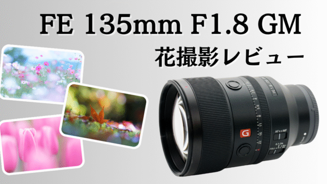 FE 135mm F1.8 GMのレビュー記事。花撮影特化。