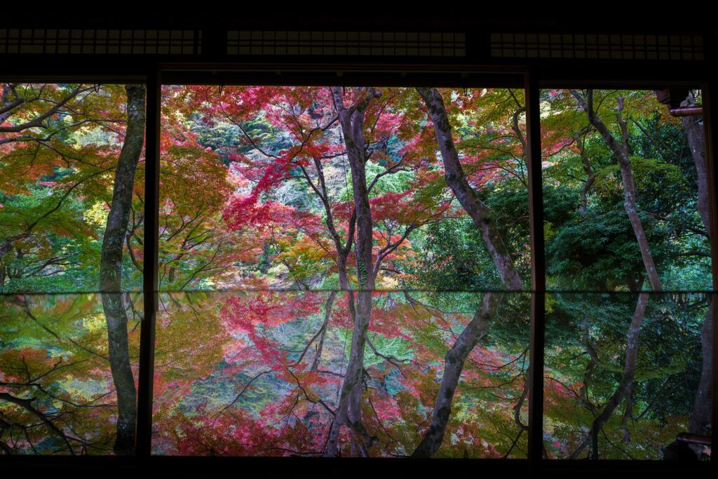 CPLフィルターで紅葉のテカリを除去し鮮やかに。紅葉のリフレクションを強調している写真。