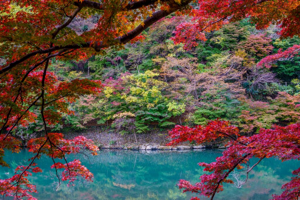 CPLフィルターで紅葉のテカリがなくなり鮮やかになった写真