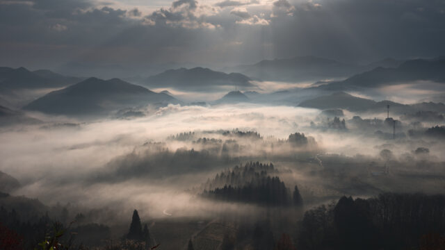 夜久野　宝山シャー