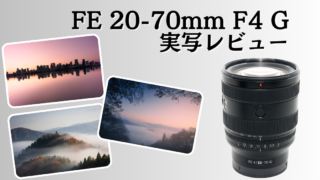FE 20-70mm F4 G SEL2070Gのレビュー記事用アイキャッチ画像
