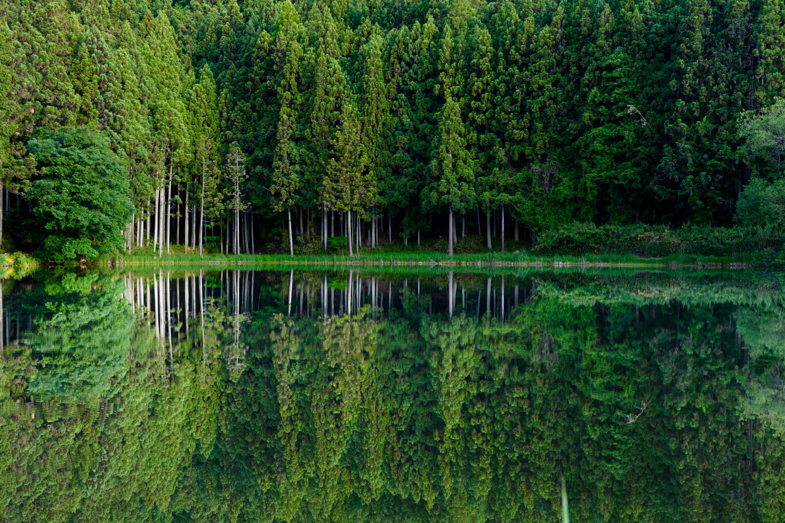 作例あり】竜王ヶ淵（宇陀市）写真撮影ガイド｜幻想的な水鏡の絶景