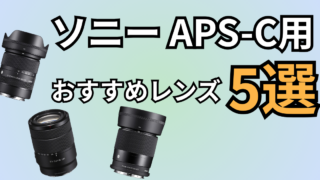 SONY APS-C用おすすめレンズ記事のアイキャッチ画像